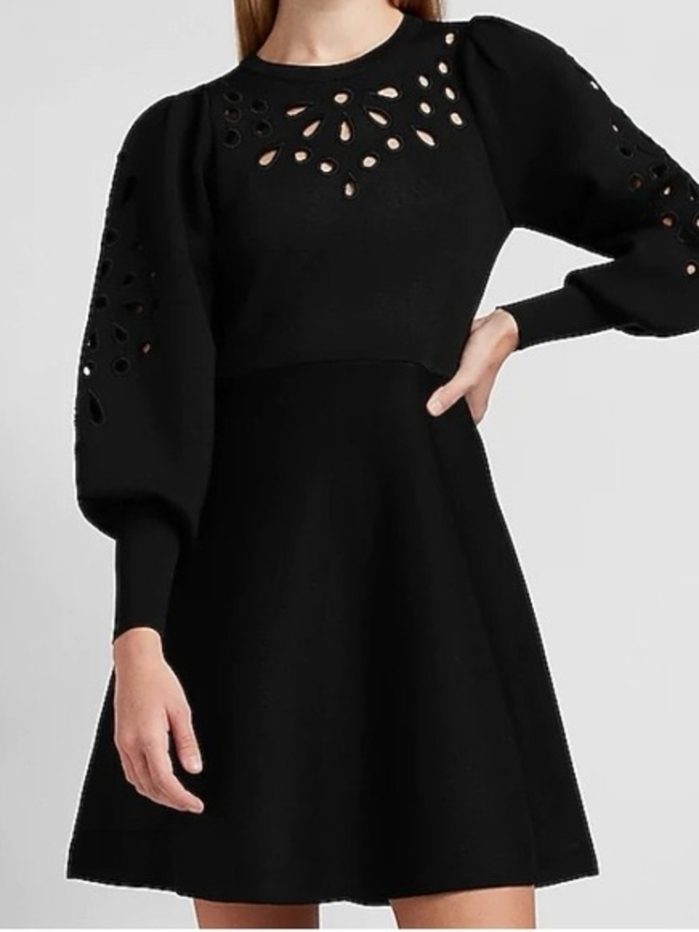 Express Black Mini Dress with Eyelet Cutouts and Puff Sleeves